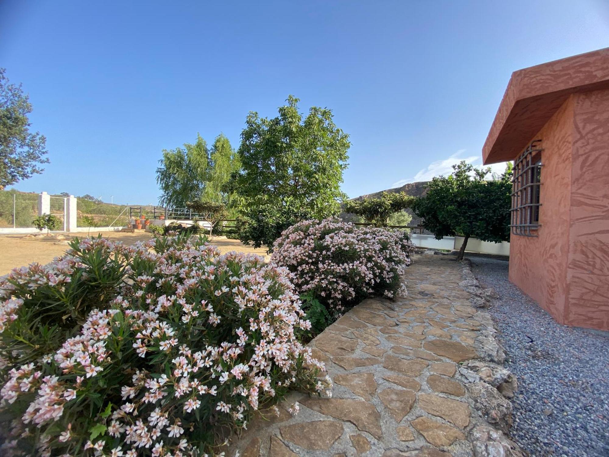Villa Elisabeth Гранада Экстерьер фото
